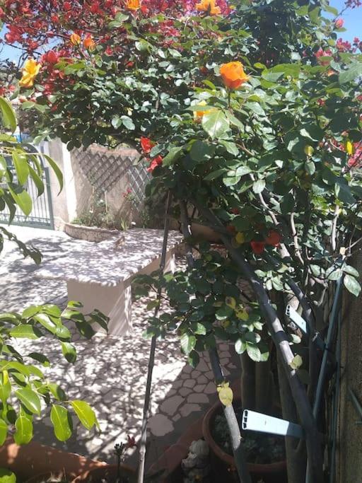Gollai House Apartment Orosei Luaran gambar